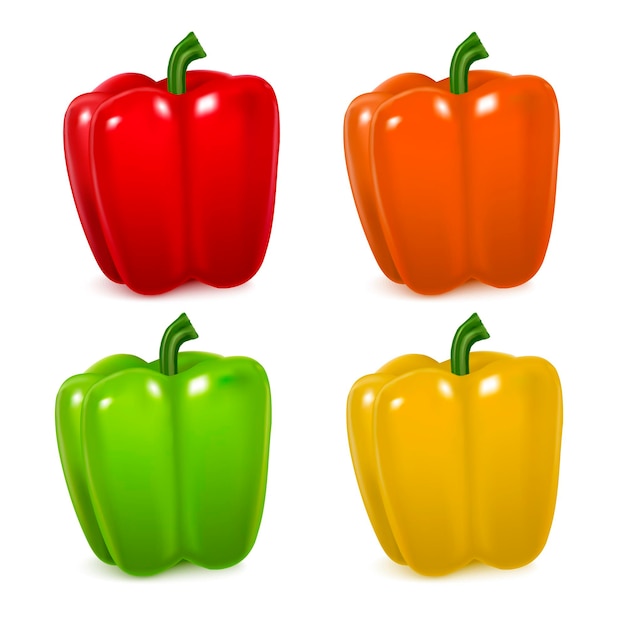 Realistic detailed color pepper set fresh healthy vegetable food tasty organic vitamin. vector illustration