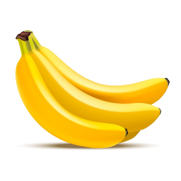 Realistic Detailed Yellow Ripe Tropical Fruit Banana Bunch Healthy Food Snack and Dessert Vector