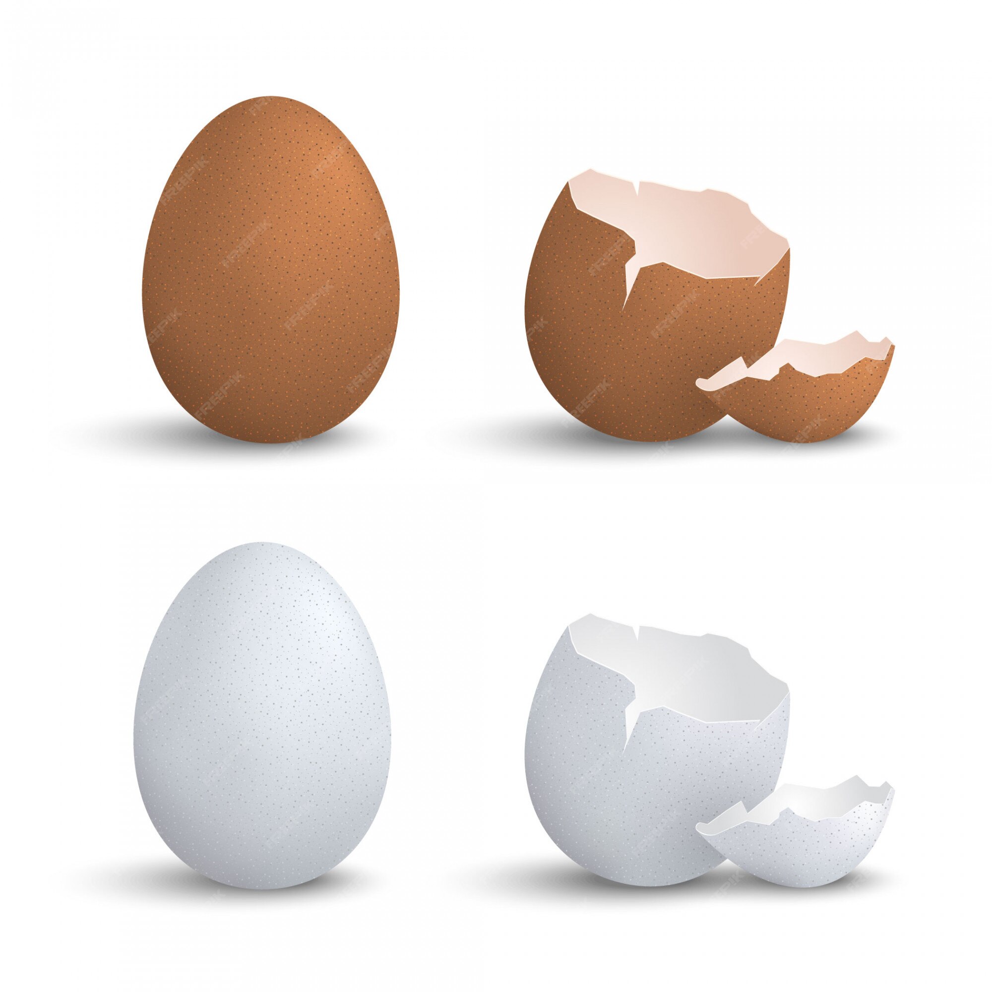 1,093 Rotting Egg Images, Stock Photos, 3D objects, & Vectors