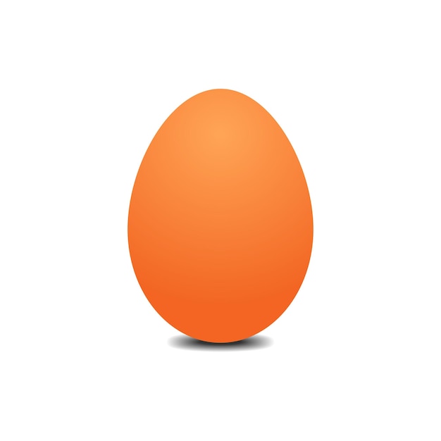 Realistic egg vector