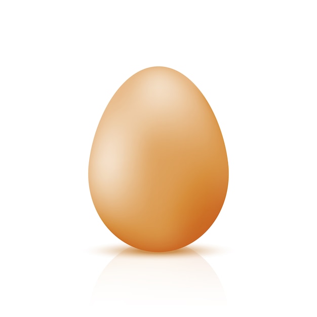 Realistic egg on white background 