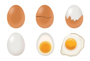 realistic eggs with boiled egg fried egg and cracked egg
