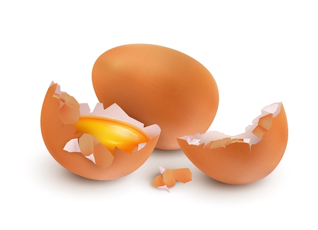 realistic eggs yolk chicken brown eggshell eat uncooked white and yellow food cooking ingredient broken baby animal bird shell poultry raw product exact 3d isolated object