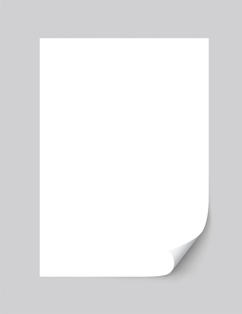 Vector realistic empty paper sheet curled corner of with shadow