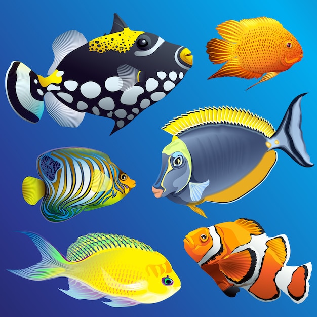 Realistic Exotic Marine Underwater Fauna Set