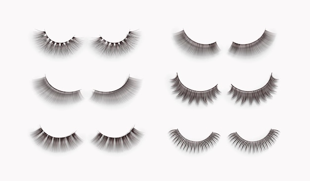 Vector realistic false eye lashes set