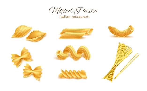 Vettore realistiche farfalle rigatoni, cavatappi conchiglie rigate pasta set.