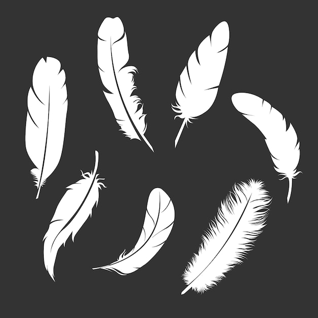 realistic feather transparent set with white feathers set headline soft and light concept illustrati