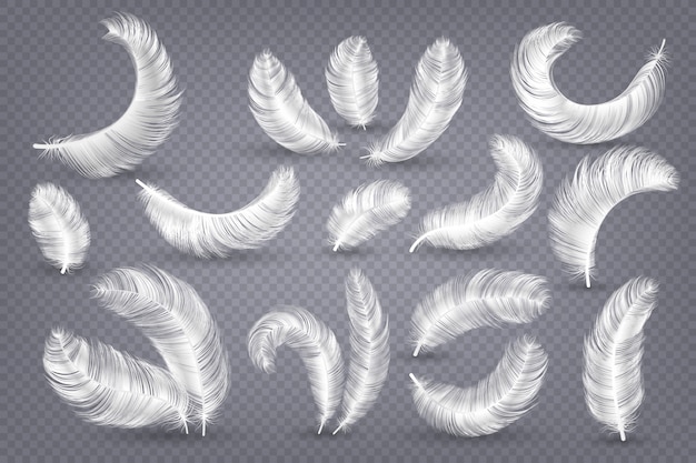 Realistic feathers. fluffy white goose and swan feather, weightless plume isolated