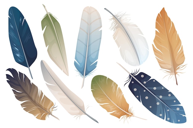 Realistic feathers vector set