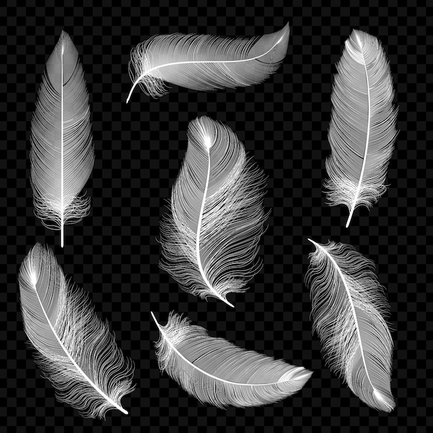 Realistic feathers. White bird falling feather 