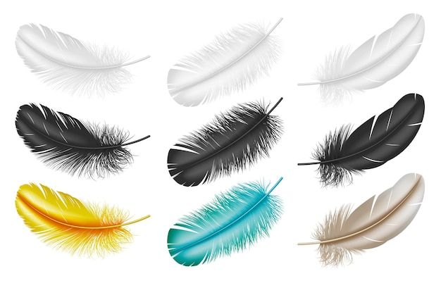 Piume realistiche: pennacchi bianchi, neri e colorati da ali di uccelli isolati su sfondo bianco. piumaggio creativo per il design. illustrazione