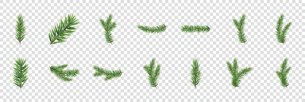 Realistic Fir Branch Collection for Christmas Celebration