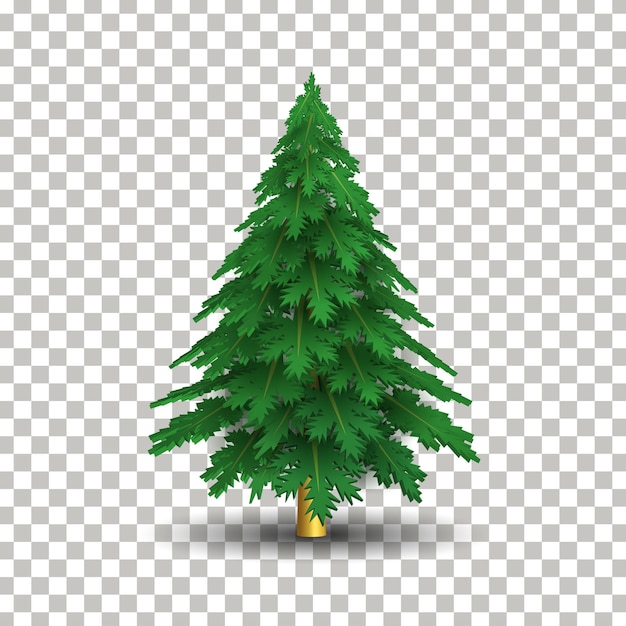 Grafico realistico dell'elemento decorativo di vettore di progettazione creativa dell'albero di abete