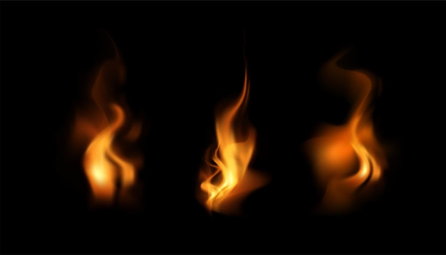 Vector realistic fire bright flames on black background