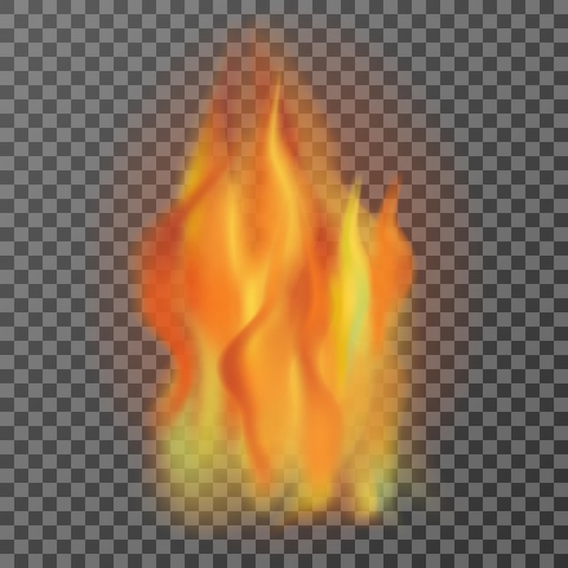 Vector realistic fire flames isolated