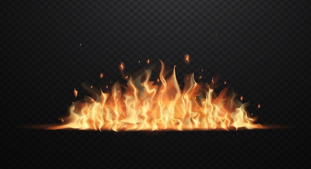 Realistic fire flames on transparent black . Flat   illustration