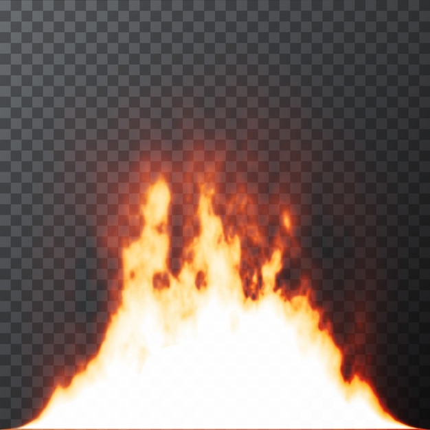 Vector realistic fire flames on transparent grid background