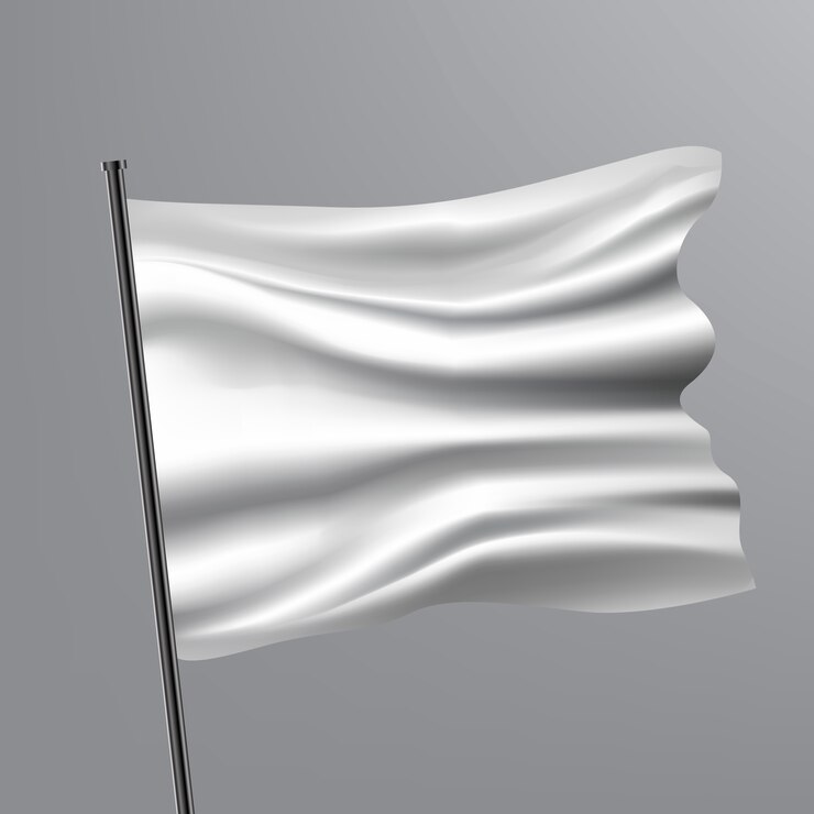 Vector realistic flag mockup illustration