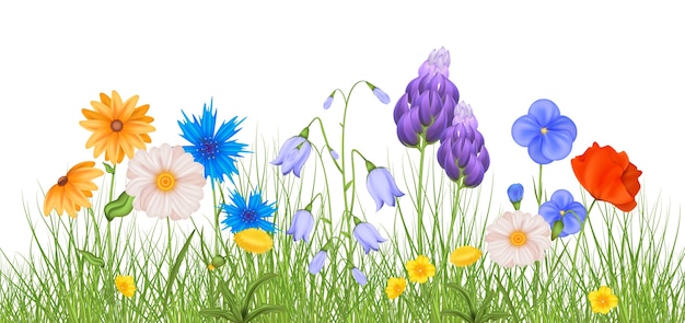 Реалистичная цветочная иллюстрация с естественными цветами и травой на белом фоне