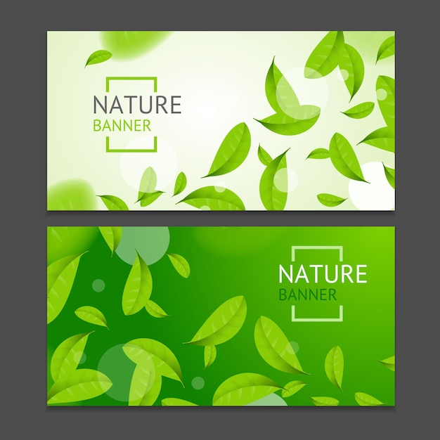 Realistic Fly Green Leaves Flyer Banner Posters Card Set Vector