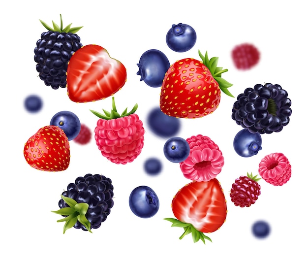 Vector realistic flying berries with strawberry blueberry blackberry raspberry and blurred elements against white background vector illustration