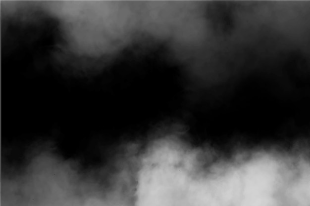 Vector realistic fog background