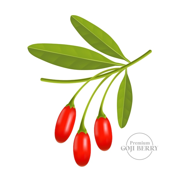 Realistic fresh goji berry banner