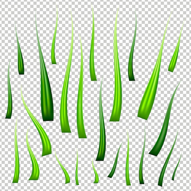 Realistic fresh green vector grass set