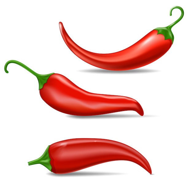 Realistic Fresh red hot chili pepper. Kitchen organic spicy taste chili mexican pepper set of three peppers isolated on white