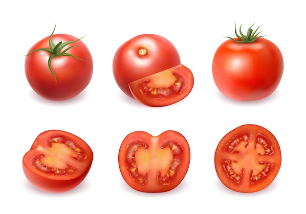 Realistic fresh red tomatoes