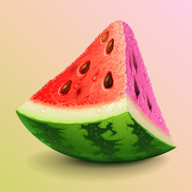 Realistic fresh watermelon piece illustration