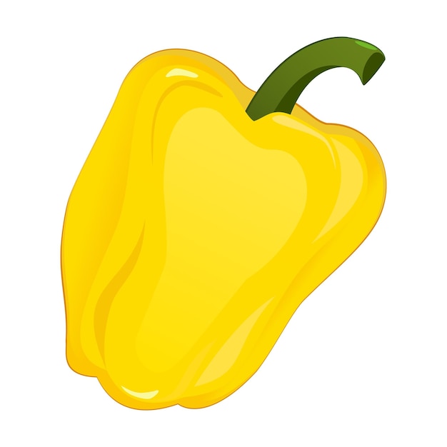 Realistic fresh yellow bell pepper on white background  vector