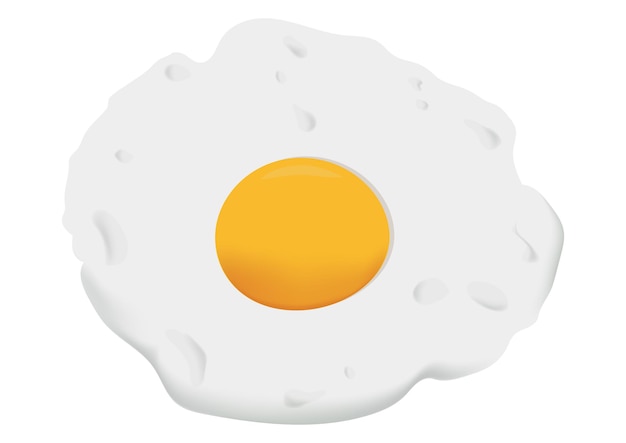 Realistic fried egg vector