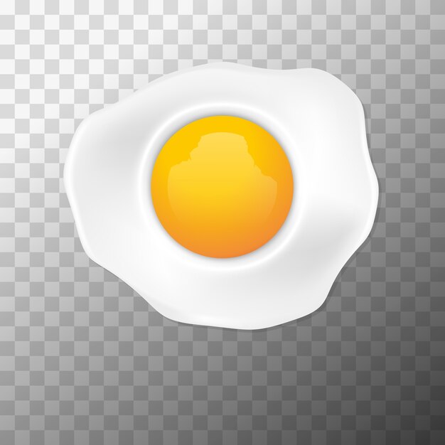 Vector realistic fried egg