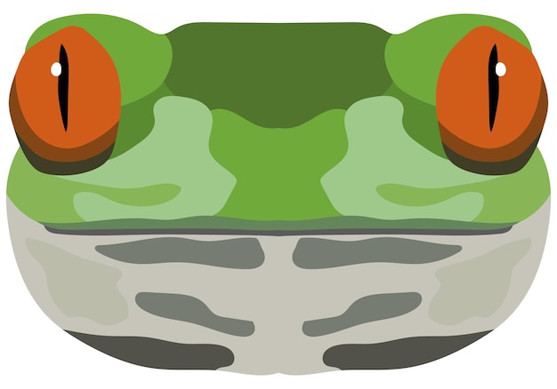 Vector realistic frog muzzle portrait of a green frog on a white background vector graphics