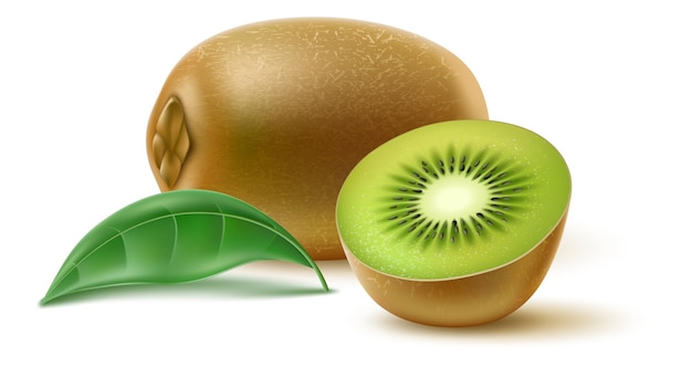 Realistic fruit Whole and half tropical kiwi Fresh food ingredient Ripe pieces and green leaf Vegetarian nutrition Sweet natural product Organic harvest Vector exotic kiwifruit