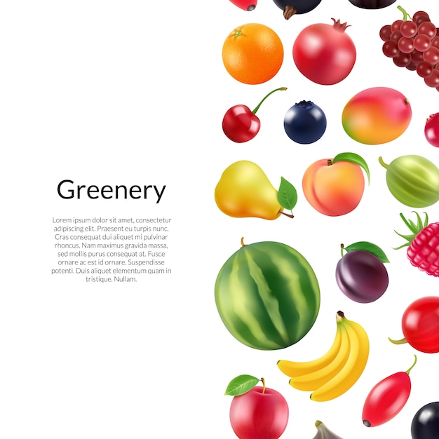  realistic fruits and berries  with copyspace illustration