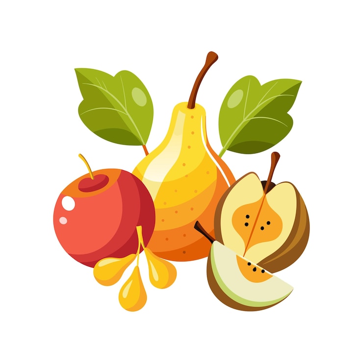 Vector 現実的なフルーツベクトルイラストコンセプト