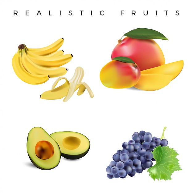 Vector realistic fruits