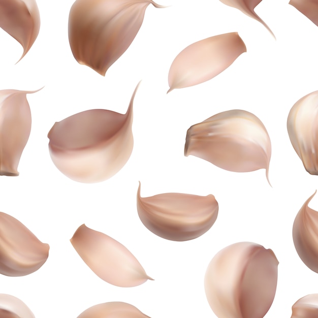 Vector realistic  garlic isolated