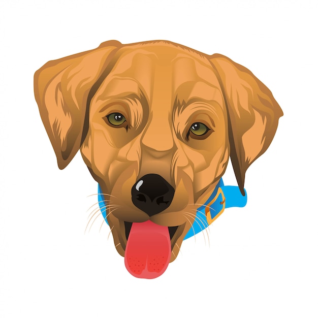 Vector realistic golden dog animal pet