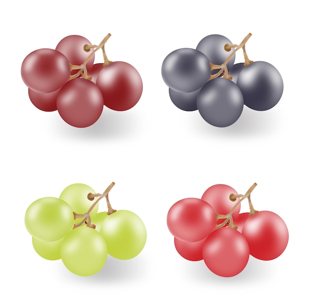 realistic grapes design