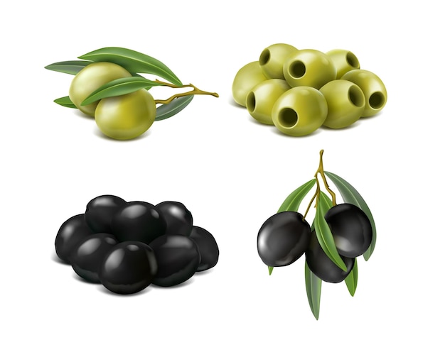 Vector realistic green and black olives isolated