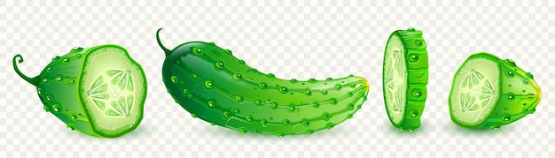realistic green cucumber whole and sliced isolated on transparent background element for salad rec