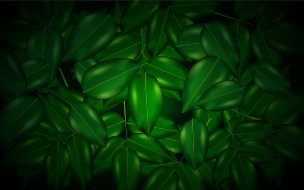 Vector realistic green foliage natural background