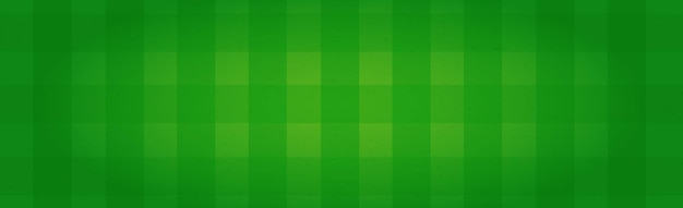 Realistic green football field with checkered markings Vector