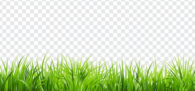 Realistic green grass bushes of fresh greens spring meadow