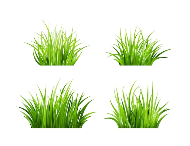 Realistic green grass bushes of fresh greens spring meadow