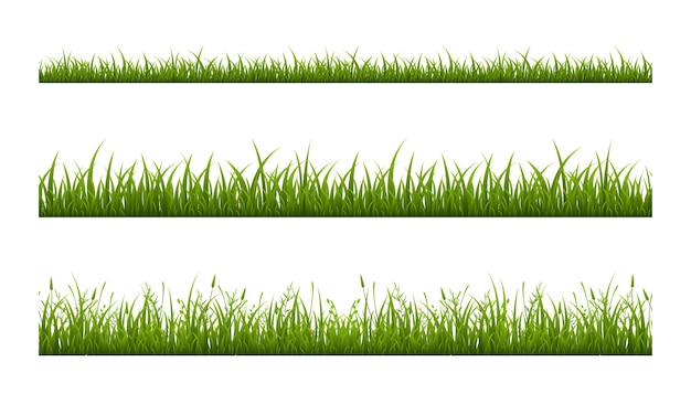 Realistic green grass lawn isolated on white